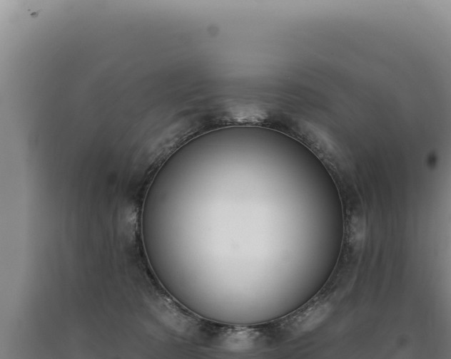 X0000090750321200707271451