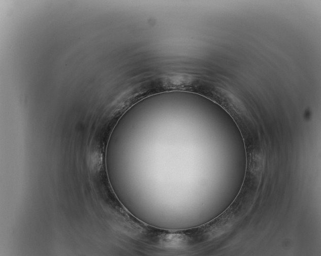 X0000090750324200707271451