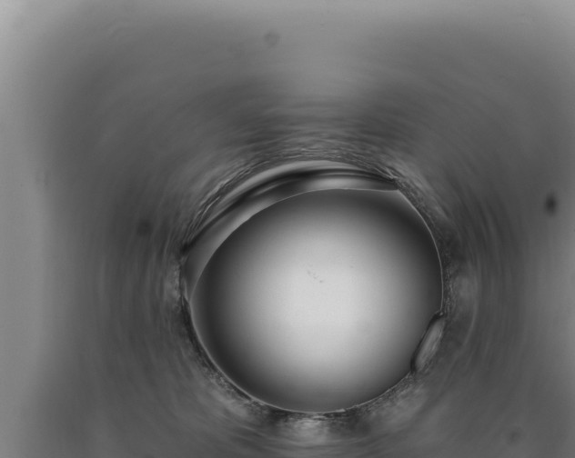 X0000090750325200707271451