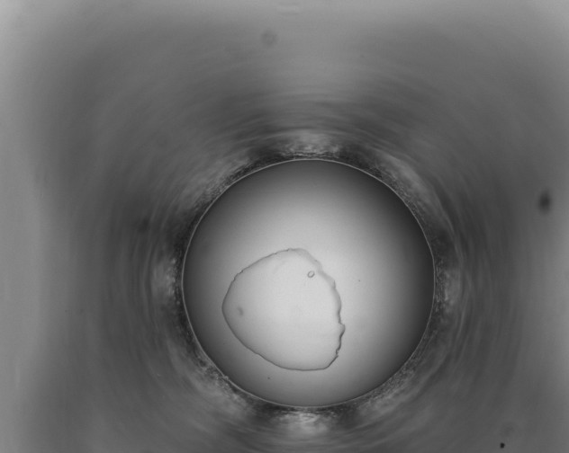 X0000090750326200707271451