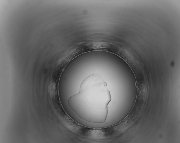 X0000090750327200707271450