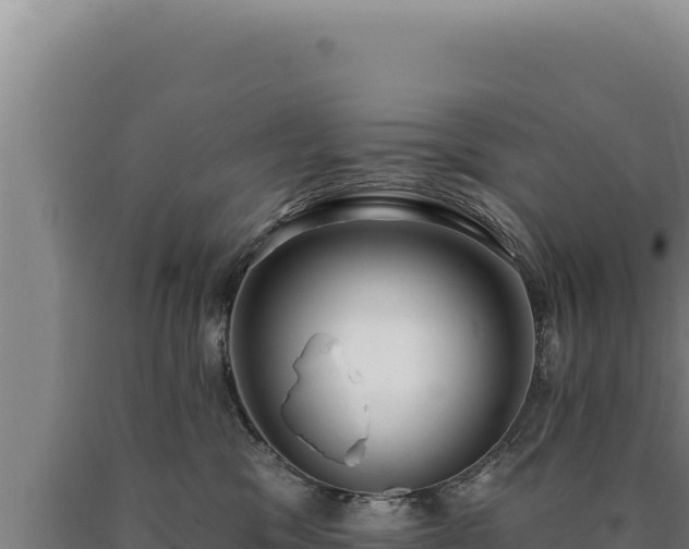 X0000090750329200707271450