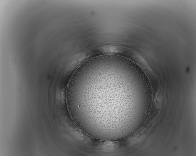 X0000090750330200707271450