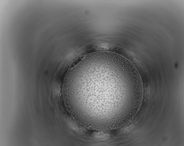 X0000090750331200707271450