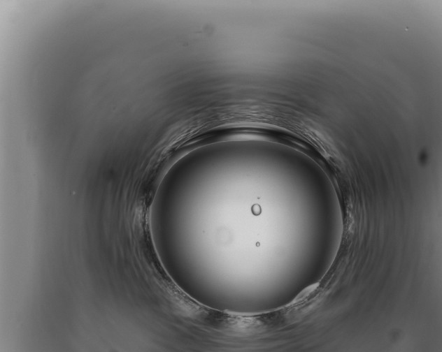 X0000090750333200707271450