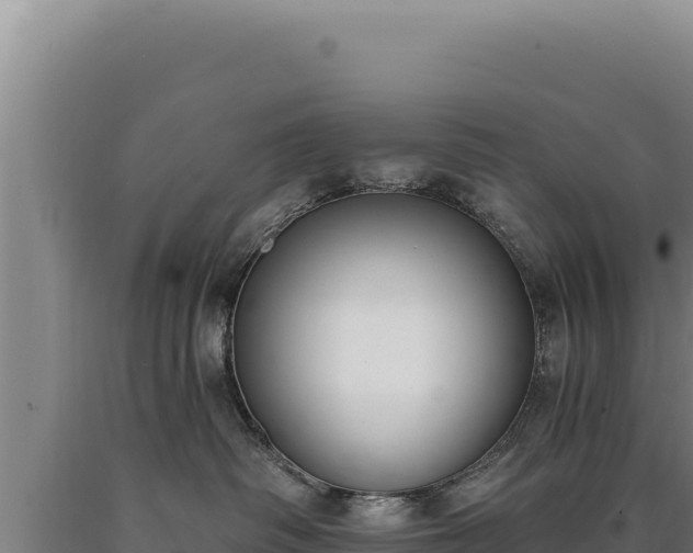 X0000090750334200707271450