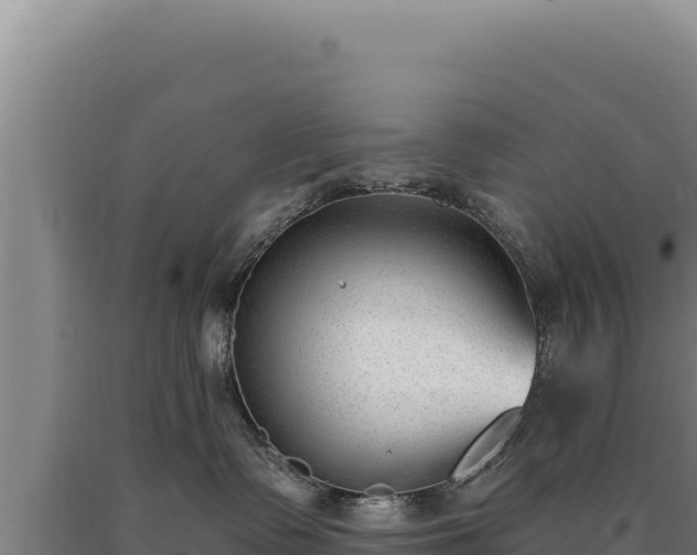 X0000090750335200707271450