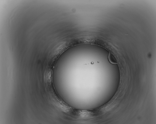 X0000090750336200707271450