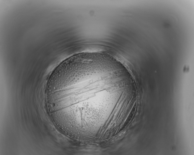 X0000090750337200707271450