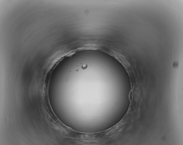 X0000090750338200707271450