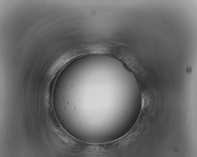 X0000090750339200707271450