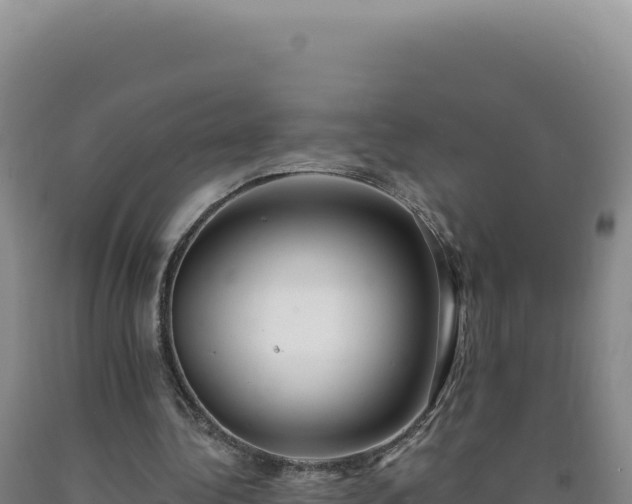 X0000090750340200707271450