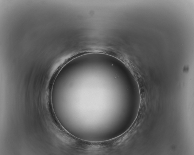 X0000090750342200707271450