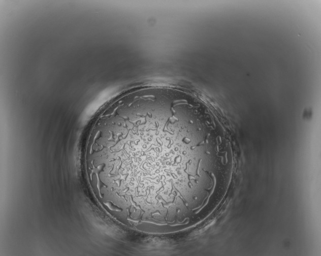 X0000090750343200707271450