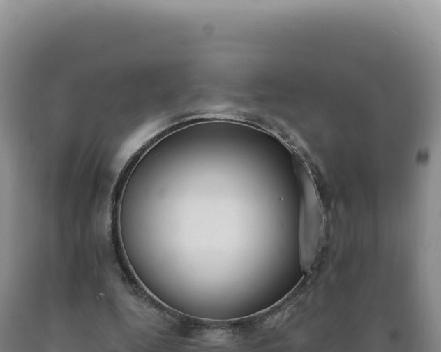 X0000090750344200707271450