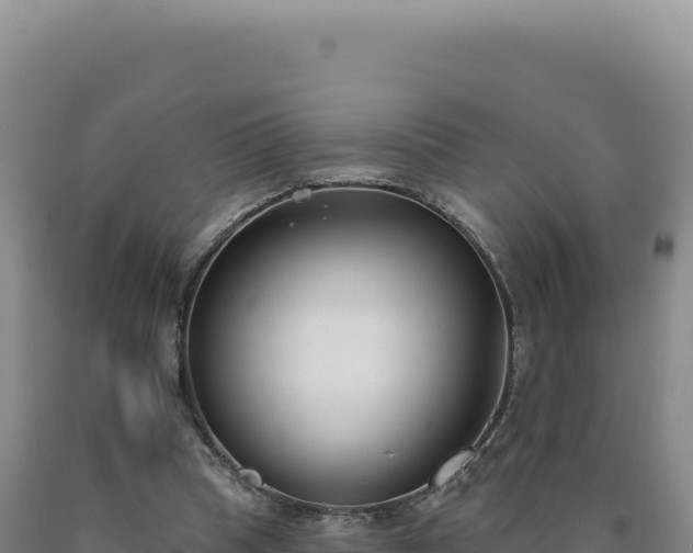 X0000090750345200707271450