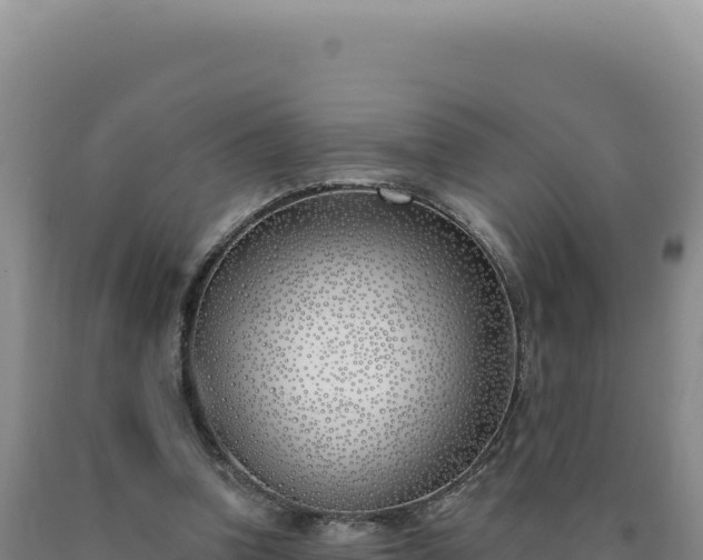 X0000090750346200707271450