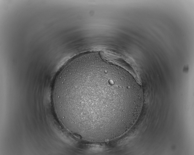 X0000090750347200707271450