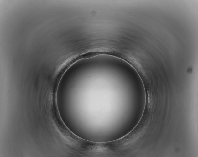 X0000090750348200707271450