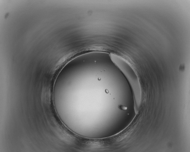 X0000090750349200707271450