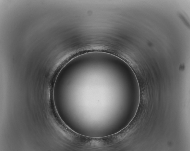 X0000090750350200707271450