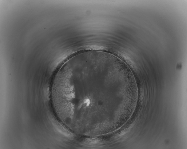 X0000090750351200707271450