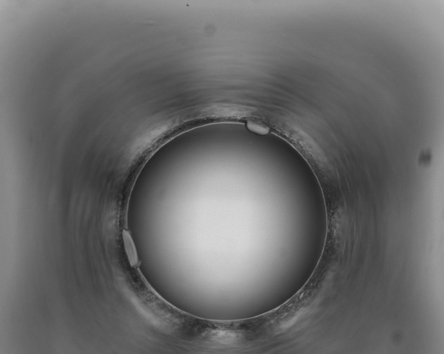 X0000090750352200707271450