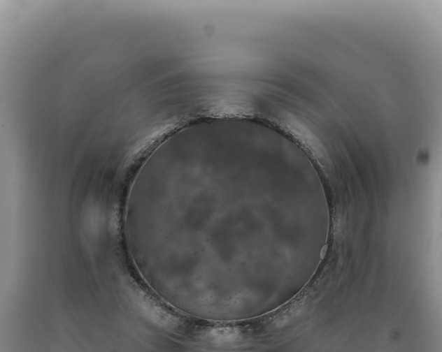 X0000090750353200707271450