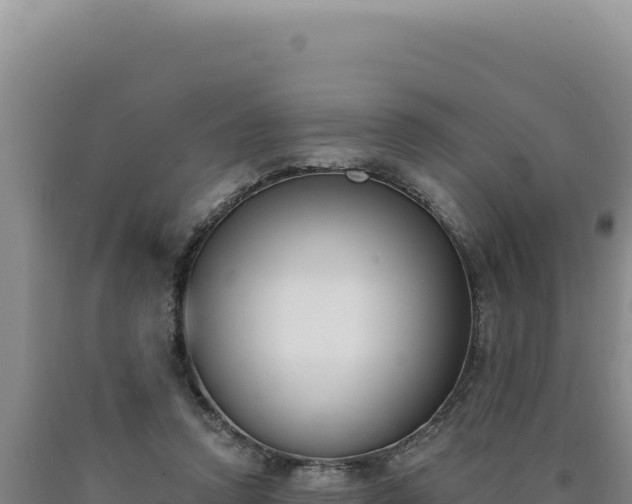 X0000090750354200707271450