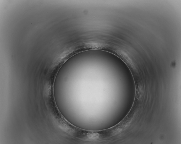 X0000090750355200707271450