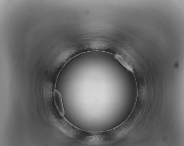 X0000090750356200707271450