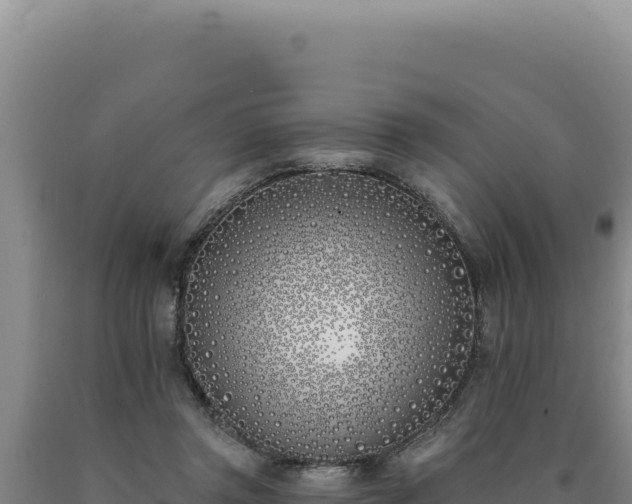 X0000090750357200707271450