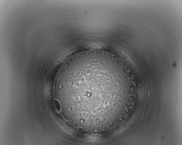 X0000090750359200707271450