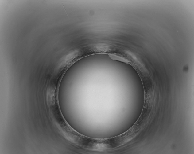 X0000090750360200707271450