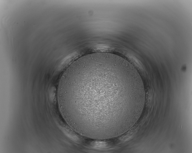 X0000090750361200707271450