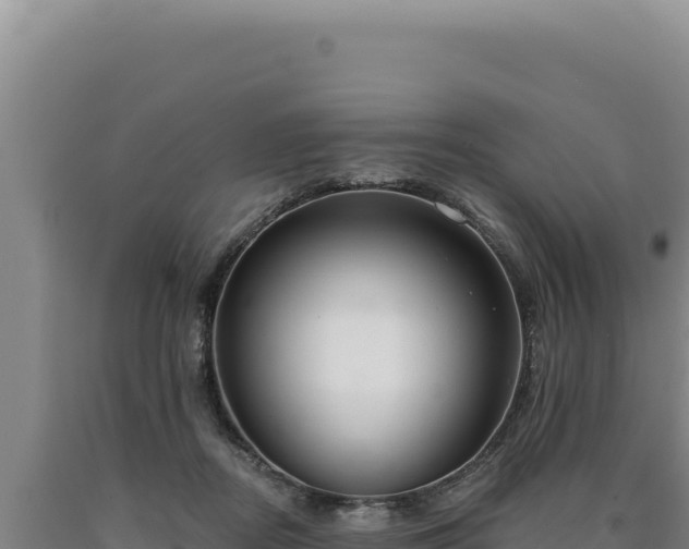 X0000090750362200707271450