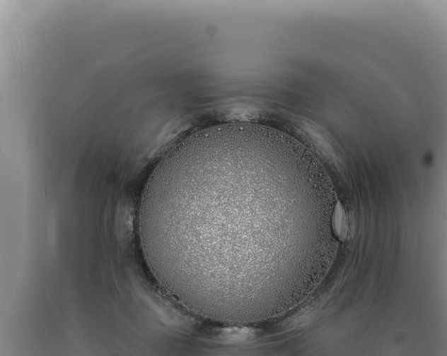 X0000090750363200707271450