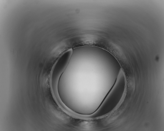 X0000090750364200707271450