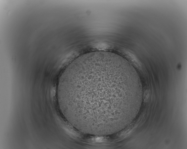 X0000090750365200707271450