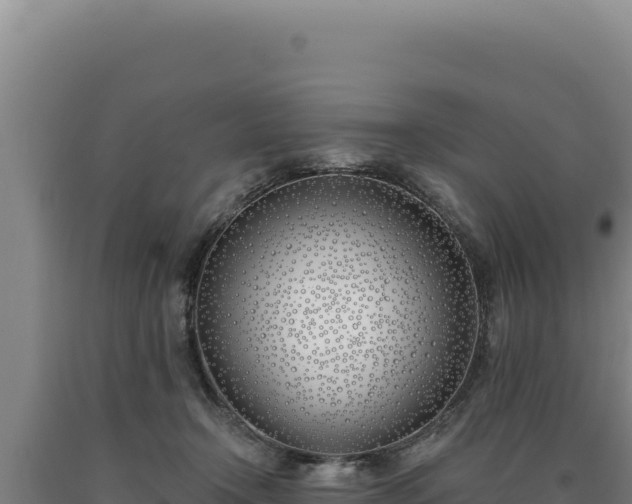 X0000090750366200707271450