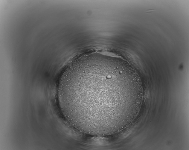 X0000090750367200707271450