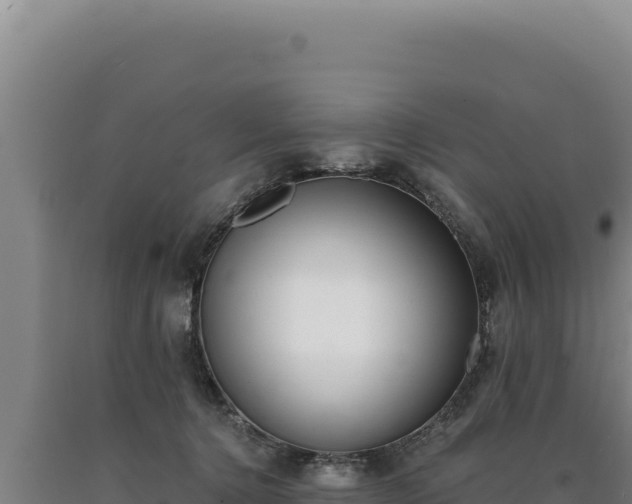 X0000090750368200707271450