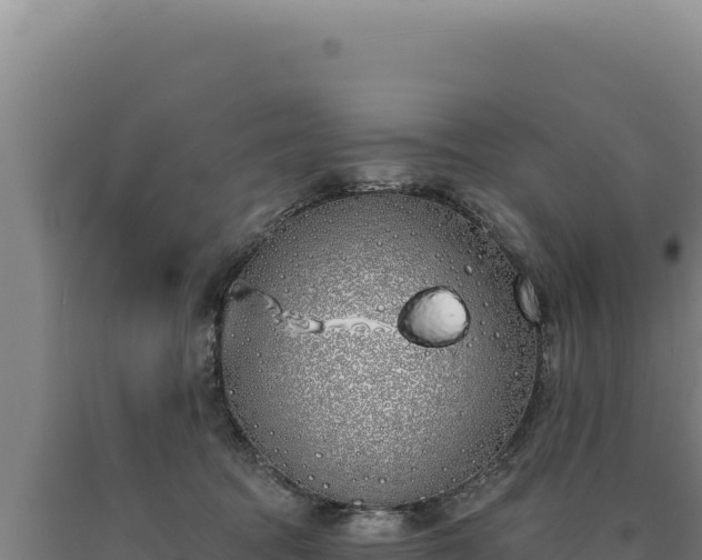 X0000090750369200707271450