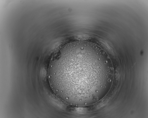 X0000090750371200707271450