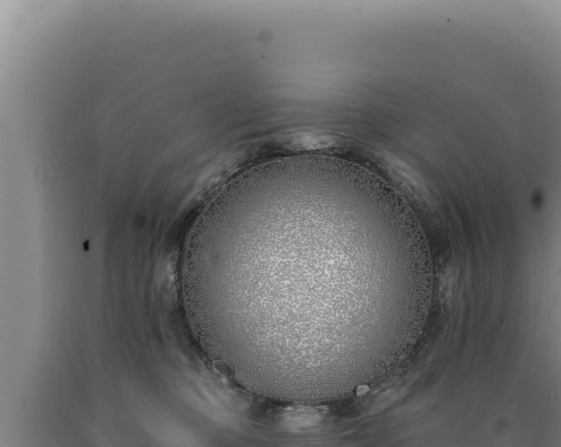 X0000090750373200707271450