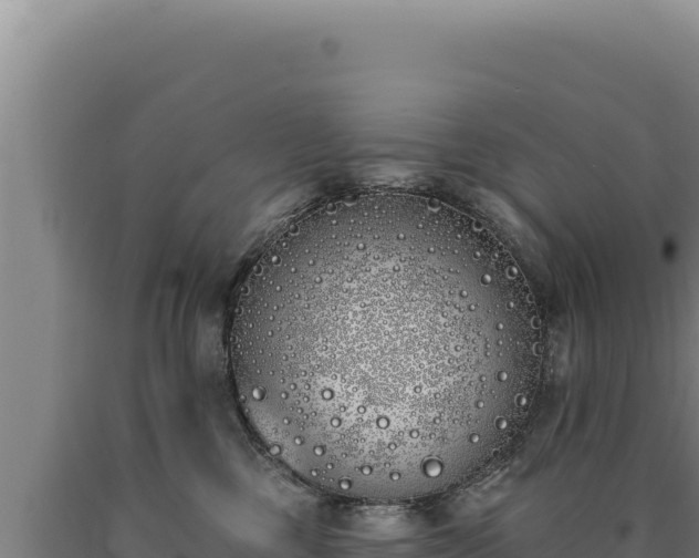 X0000090750377200707271450