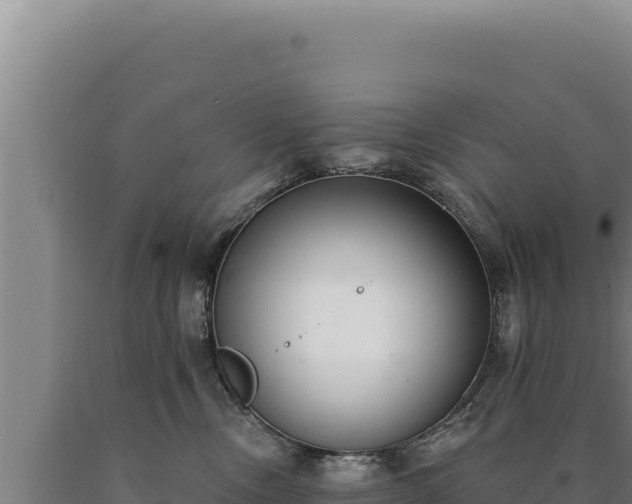 X0000090750378200707271450