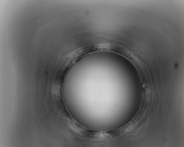 X0000090750379200707271450