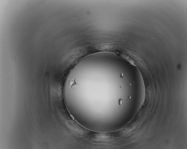 X0000090750380200707271450