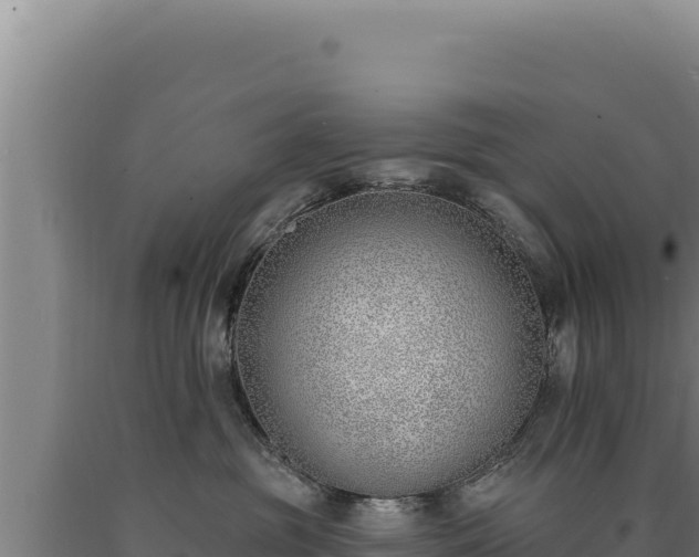 X0000090750381200707271450